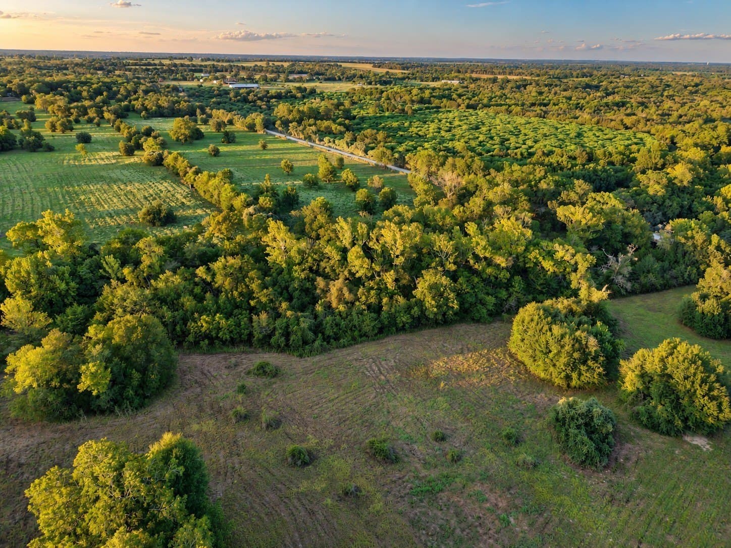 15.14 acres in Washington (TX) County - photo 6