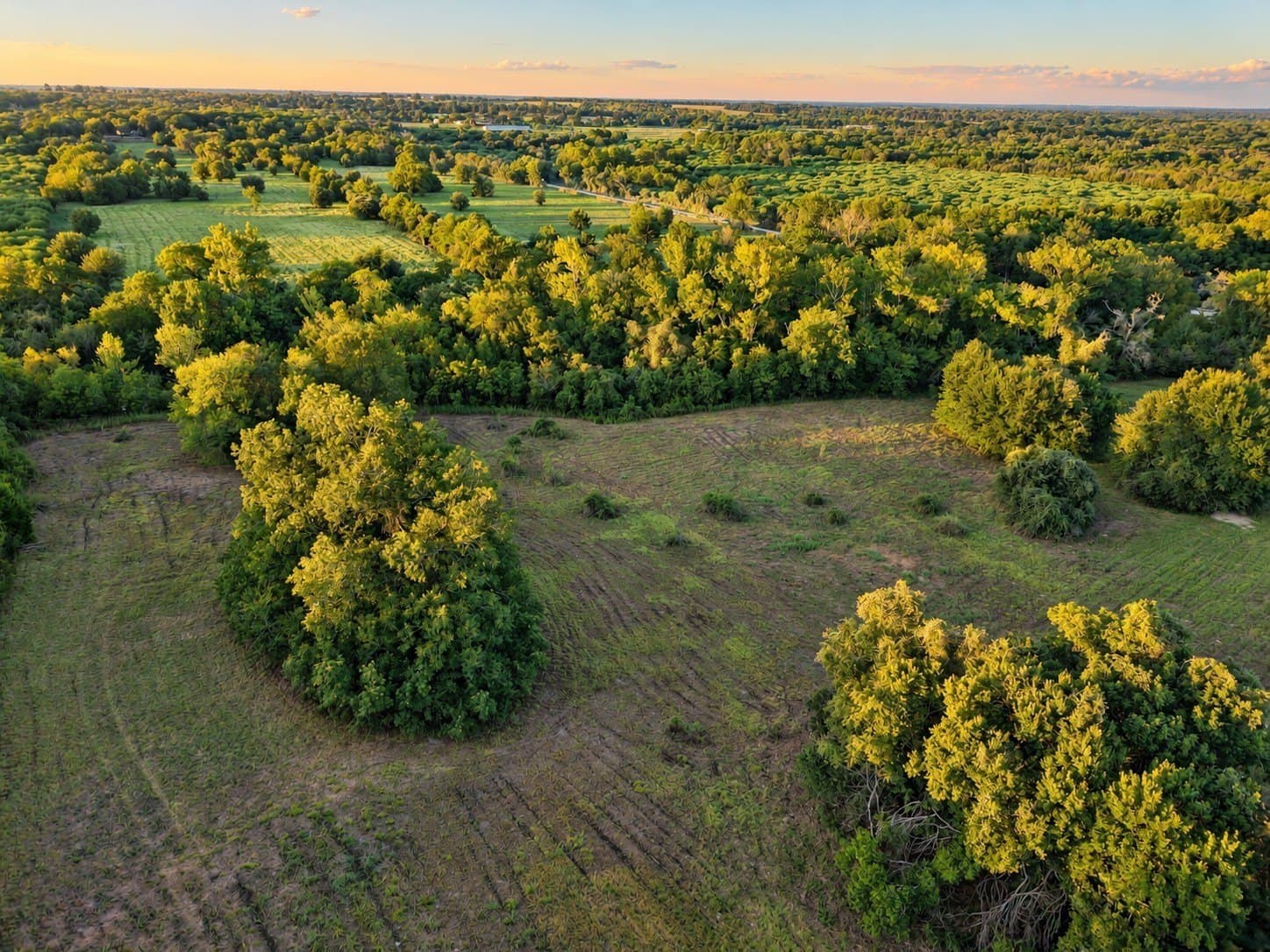 15.14 acres in Washington (TX) County - photo 7