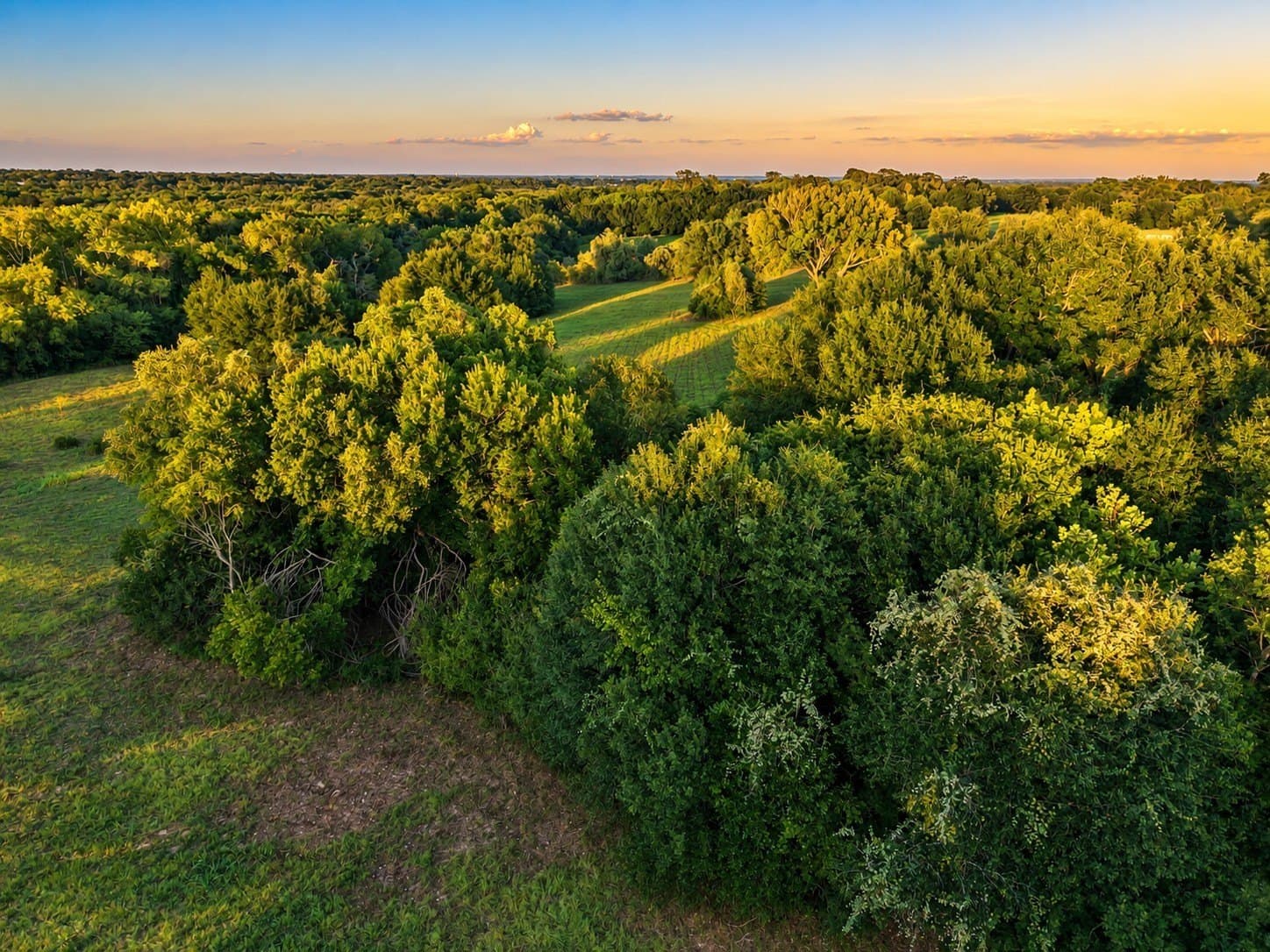 15.14 acres in Washington (TX) County - photo 10