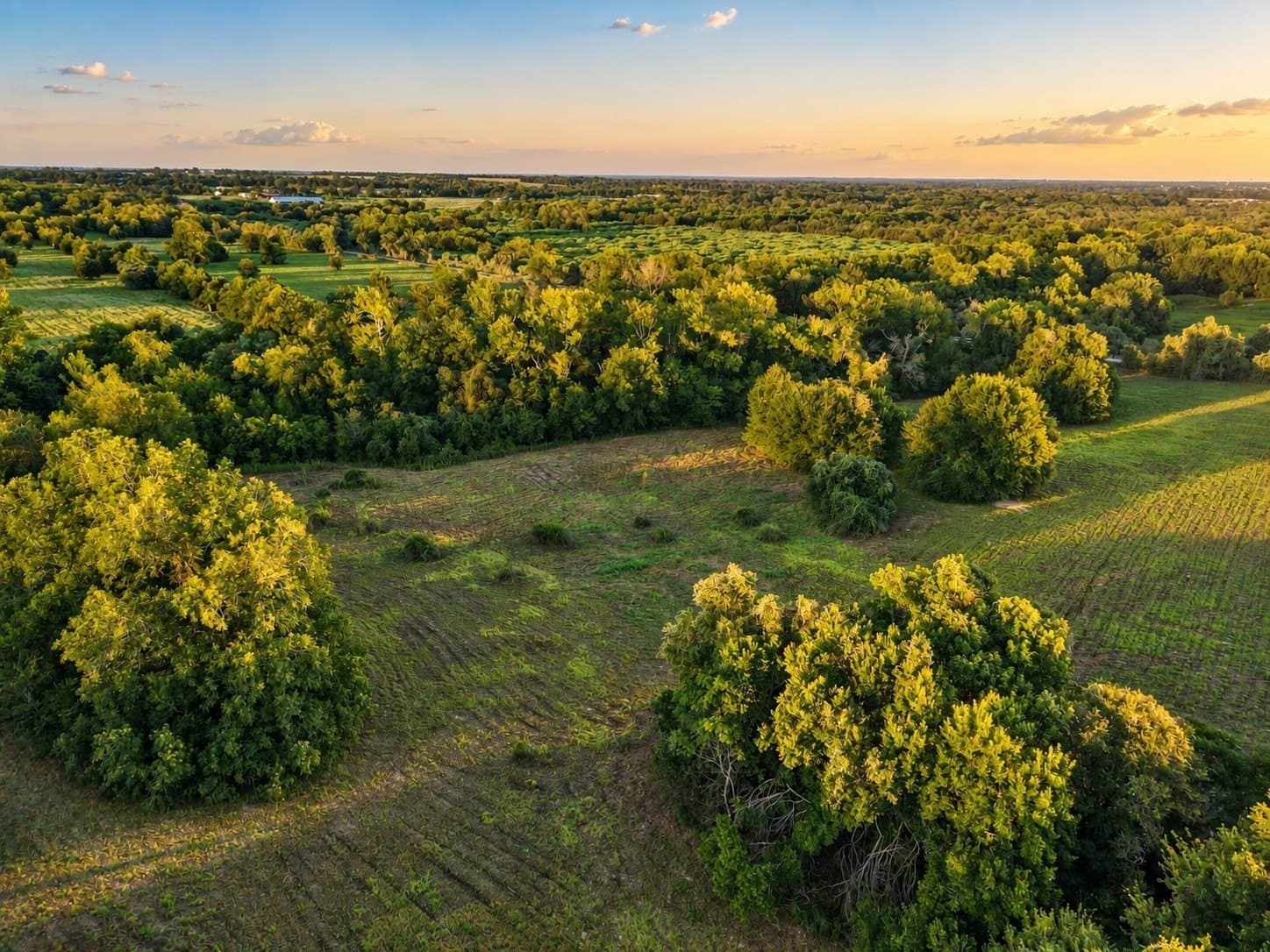 15.14 acres in Washington (TX) County - photo 12