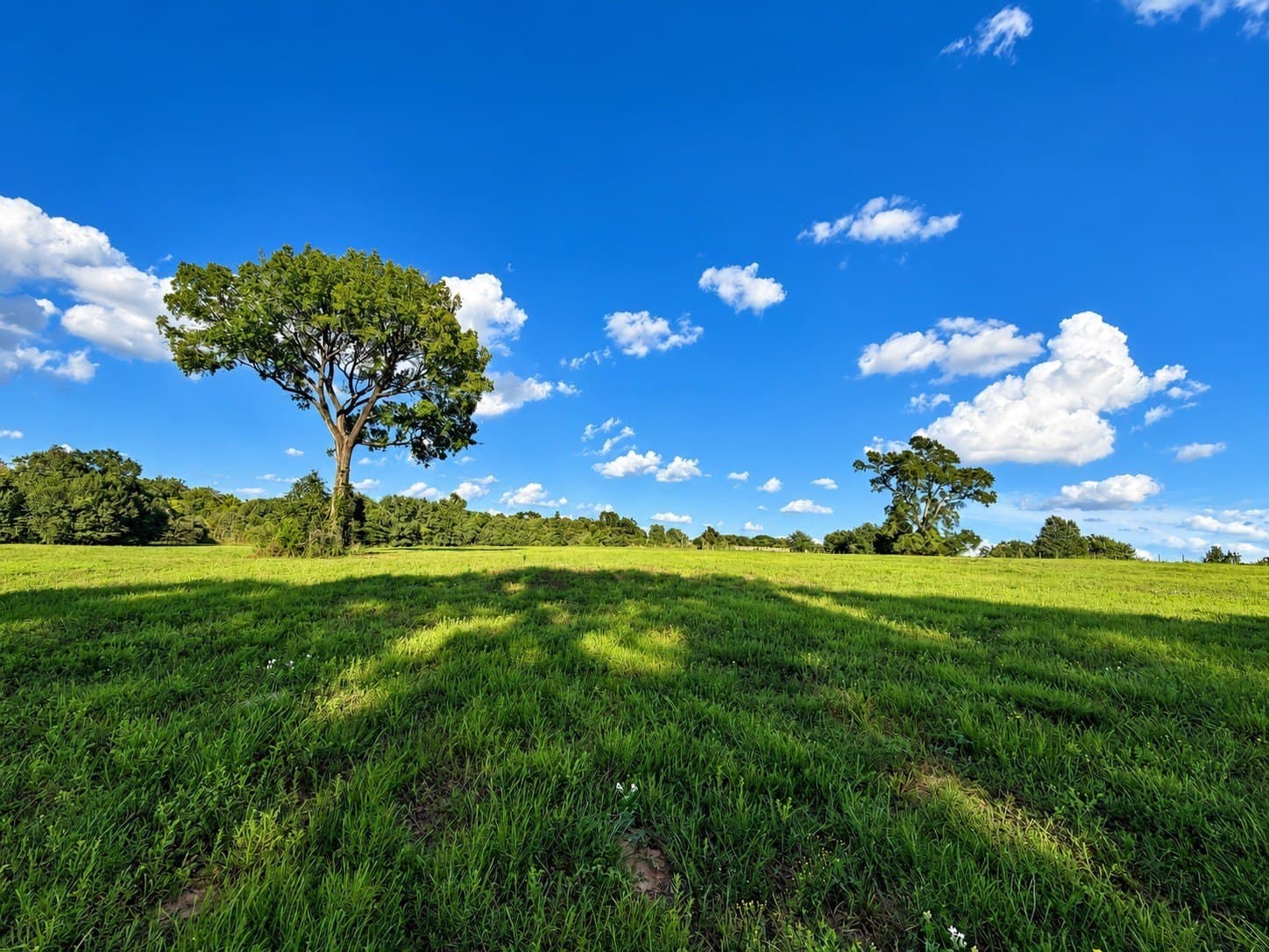 15.14 acres in Washington (TX) County - photo 5