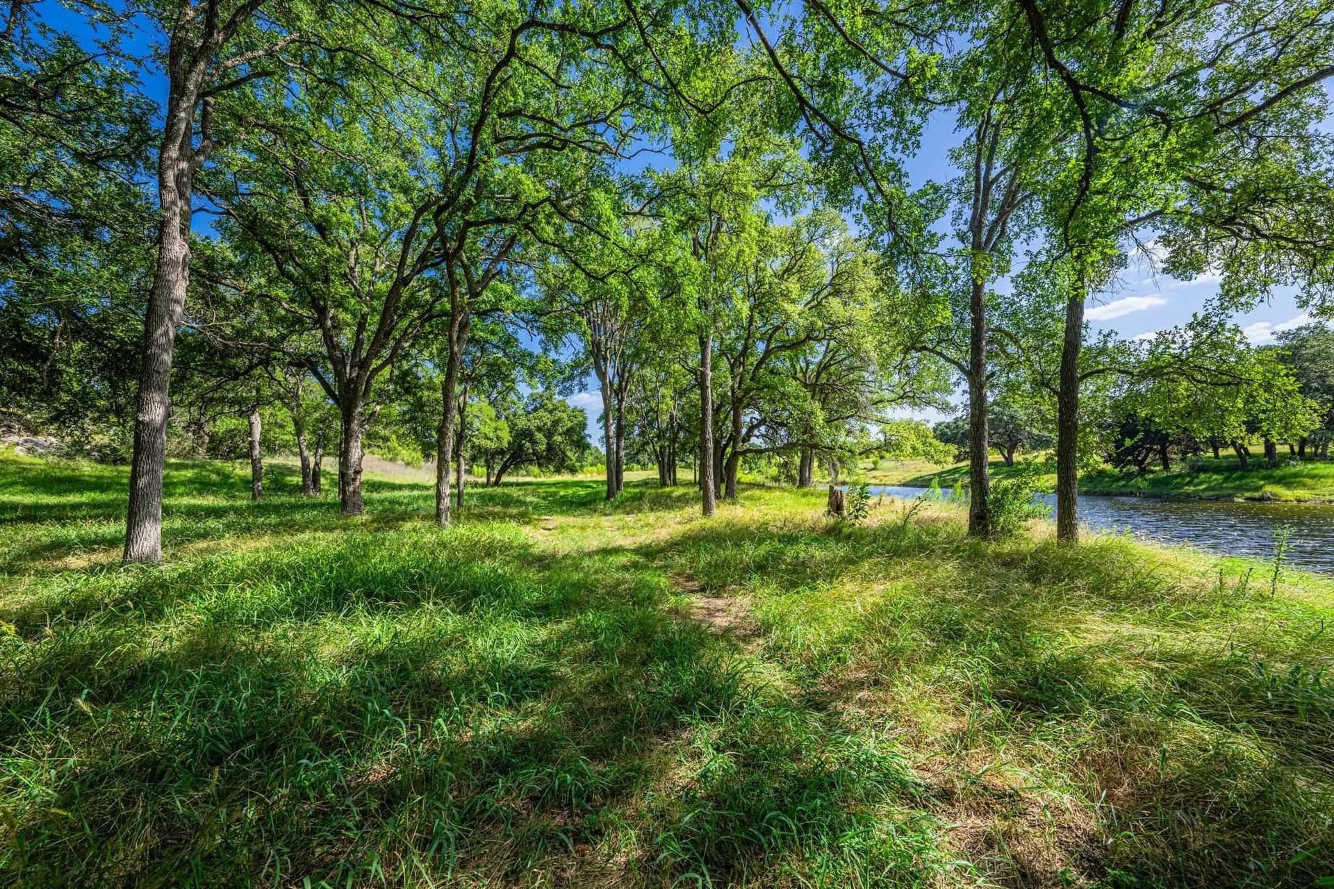 5.41 acres in Blanco County gallery image 3