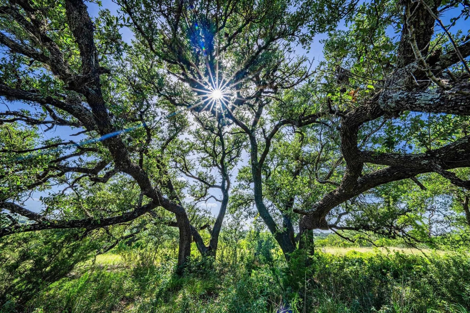 5.41 acres in Blanco County featured view