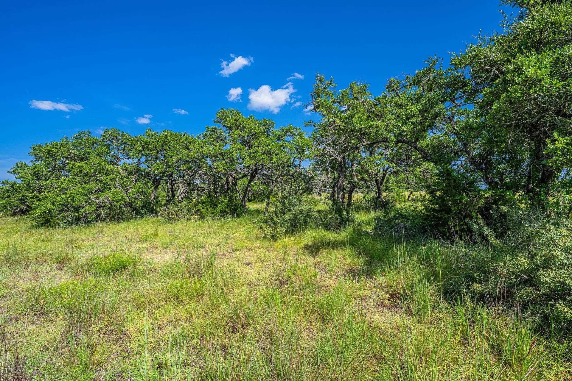 5.41 acres in Blanco County gallery image 4