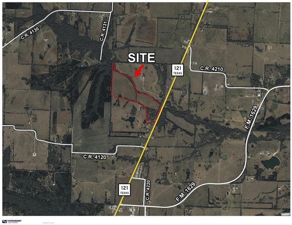 50.35 acres in Fannin County gallery image 4