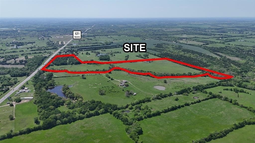 50.35 acres in Fannin County gallery image 3