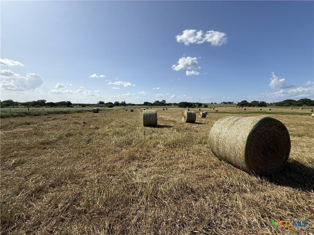 10.01 acres in Wilson County - photo 41