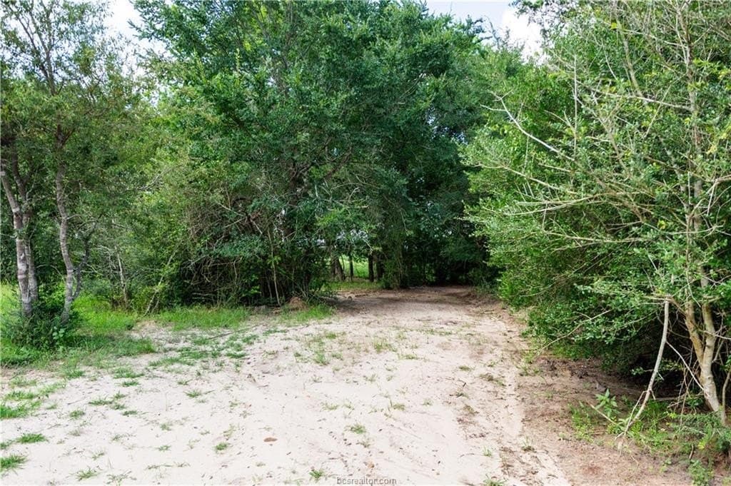 1.16 acres in Brazos County - photo 7