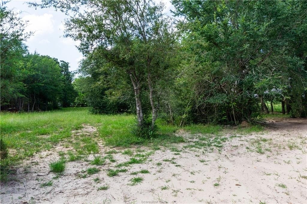 1.16 acres in Brazos County - photo 6