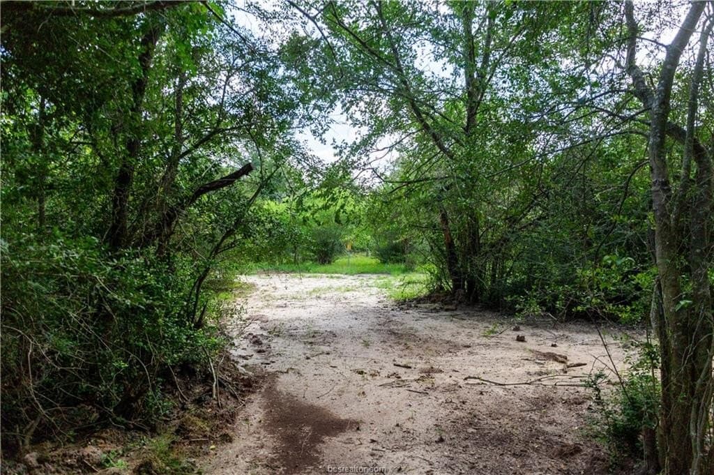 1.16 acres in Brazos County gallery image 4