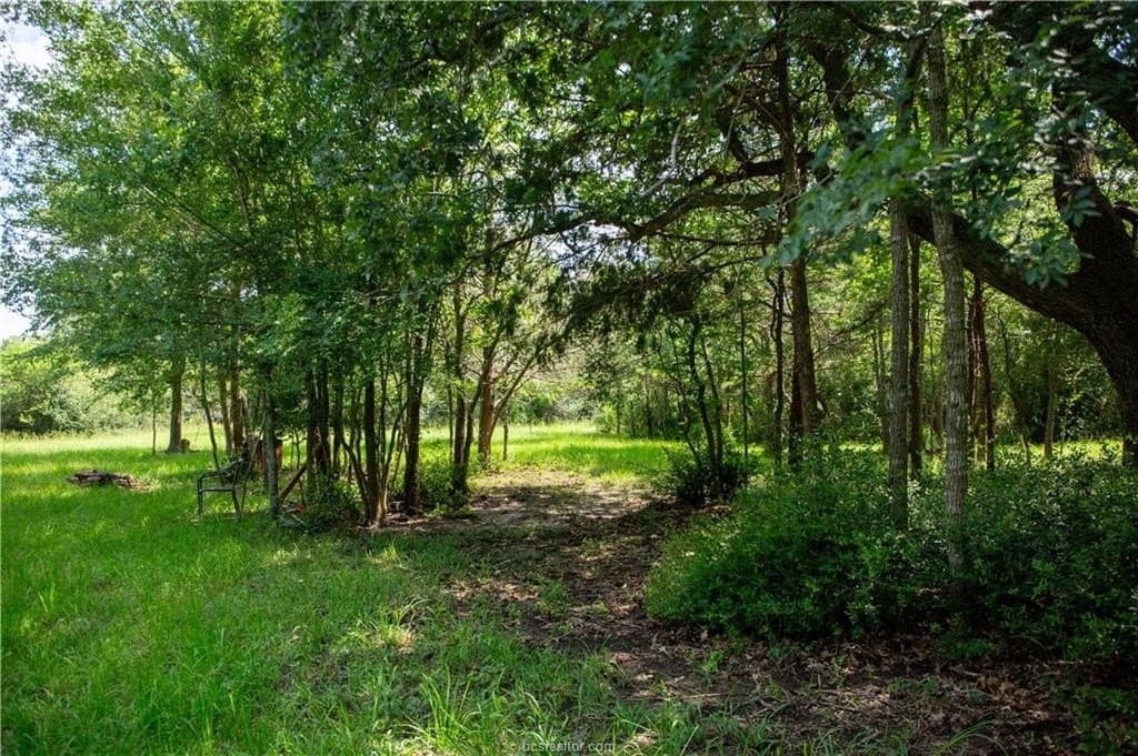1.16 acres in Brazos County gallery image 2