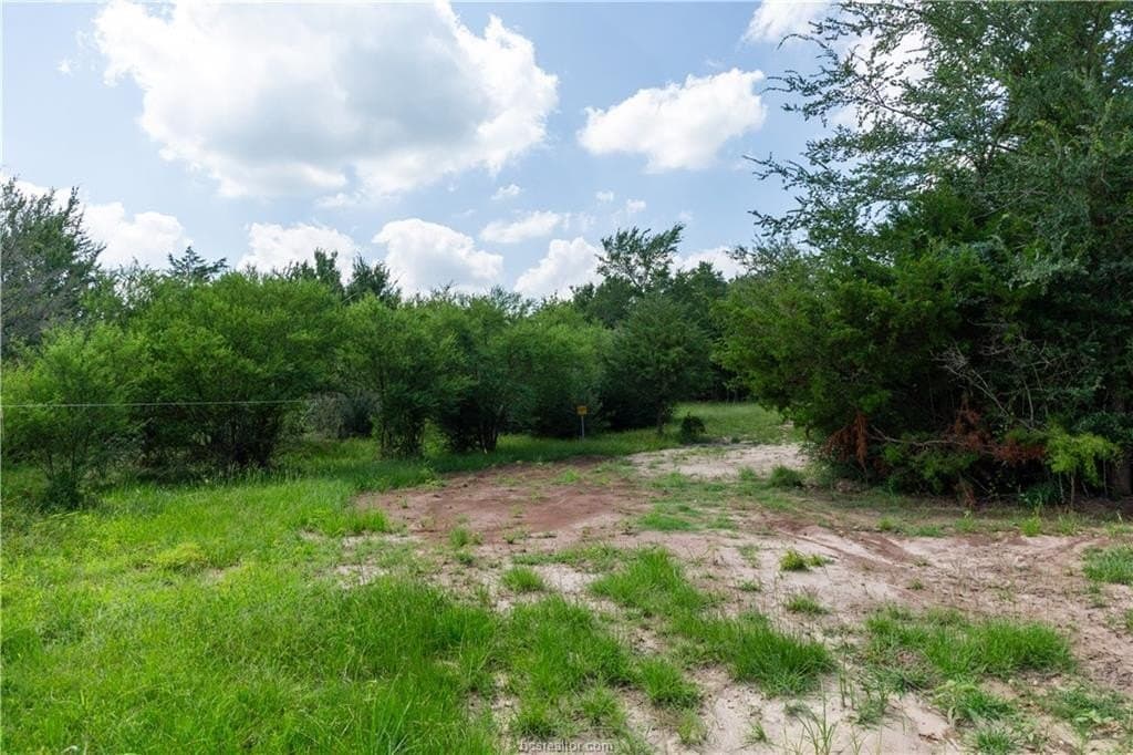 1.16 acres in Brazos County featured view