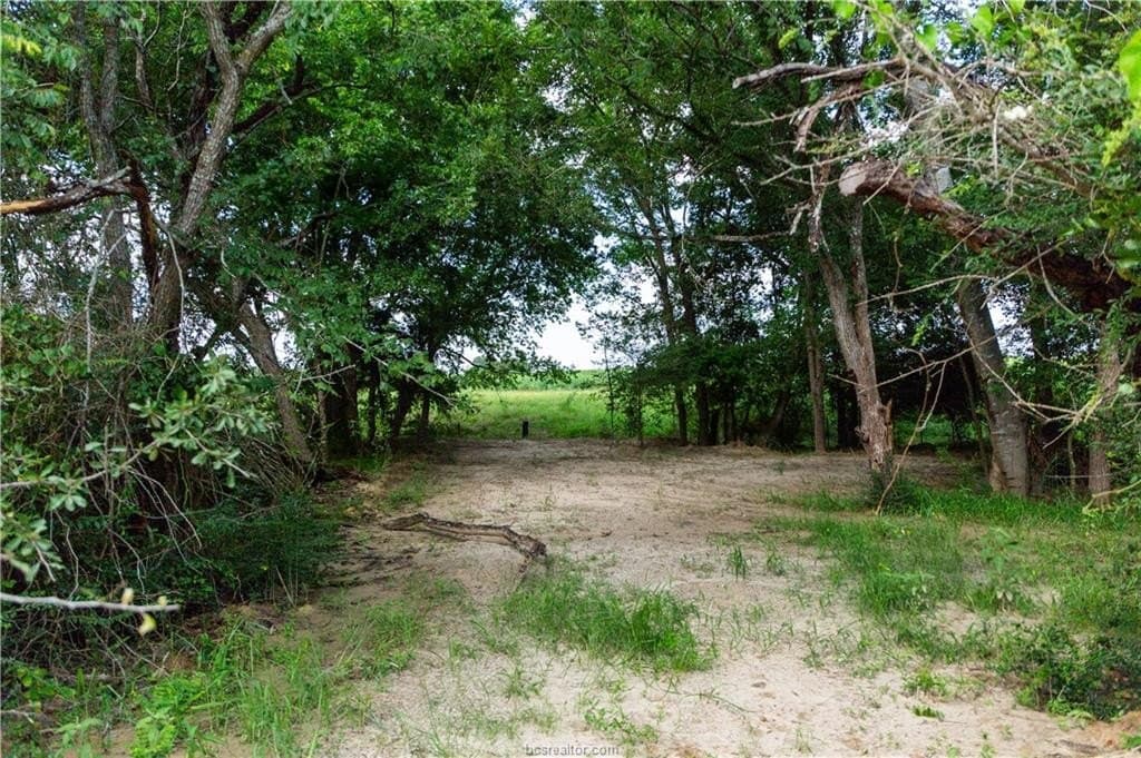 1.16 acres in Brazos County gallery image 3