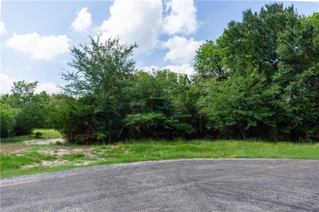 1.16 acres in Brazos County - photo 8