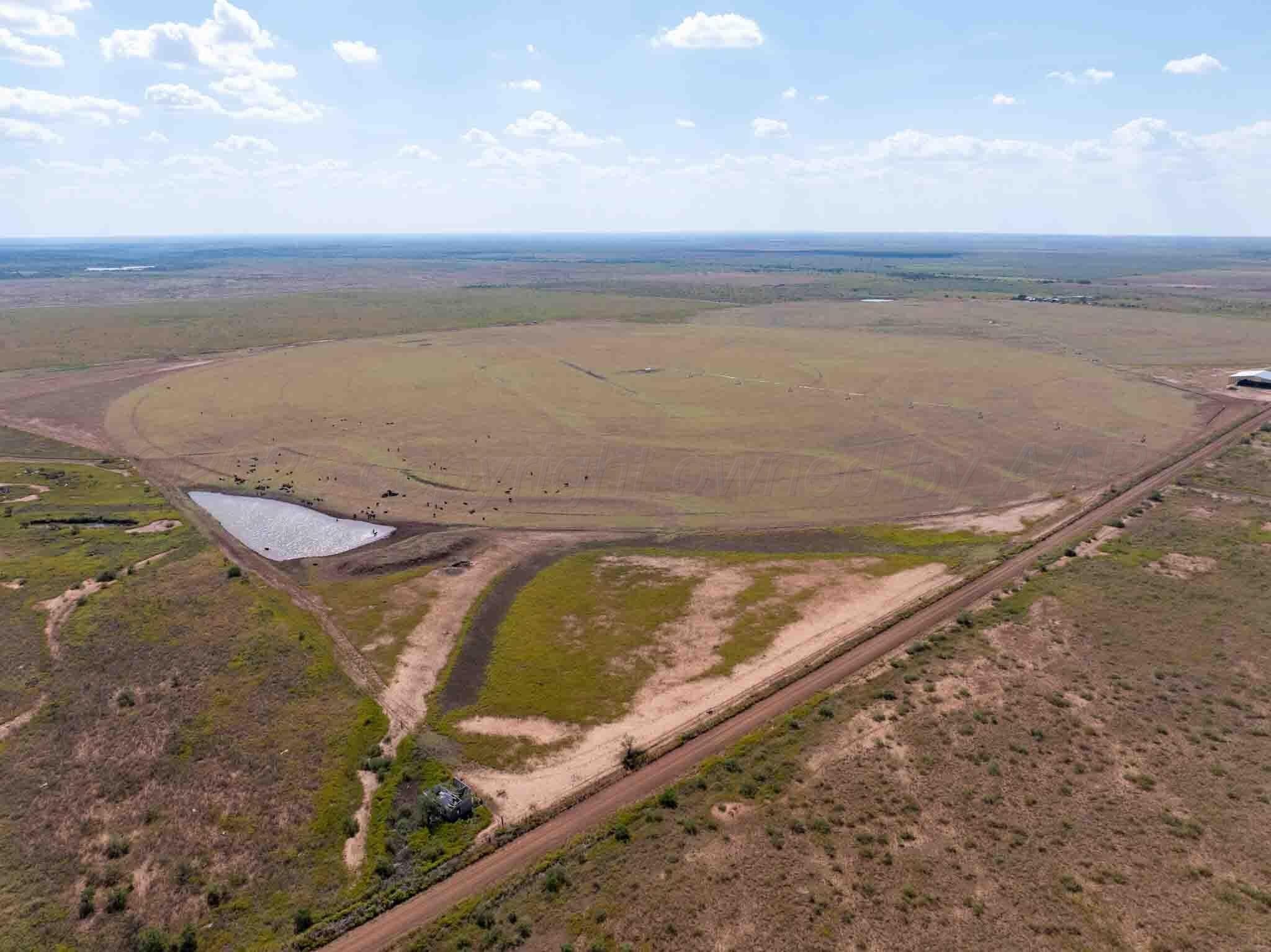541.5 acres in Cottle County gallery image 3