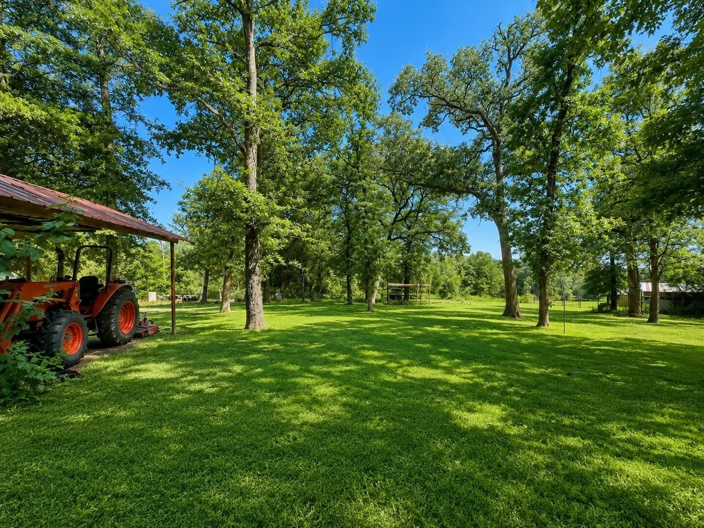 25.94 acres in Henderson County gallery image 4