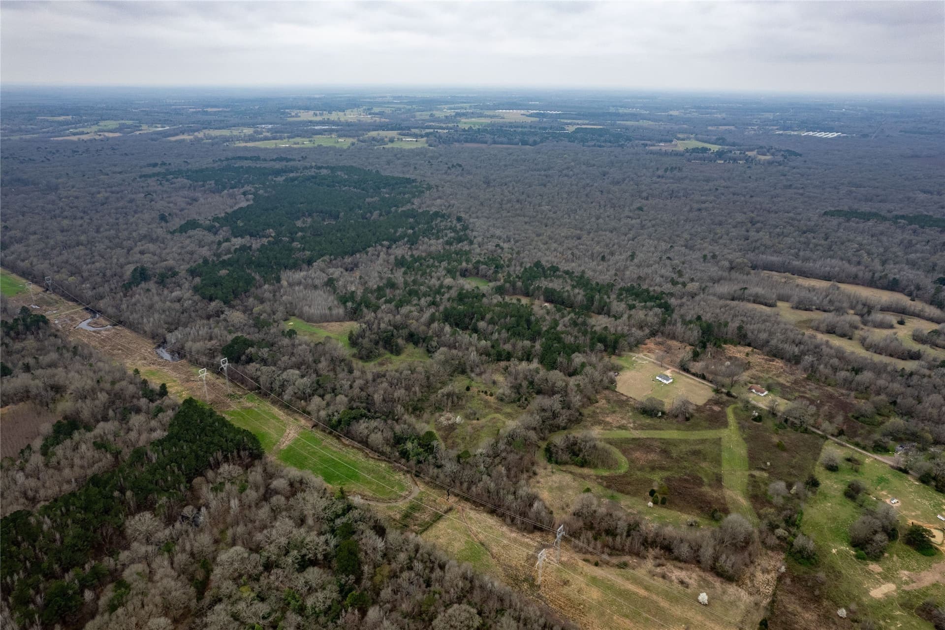 124.91 acres in Titus County - photo 23