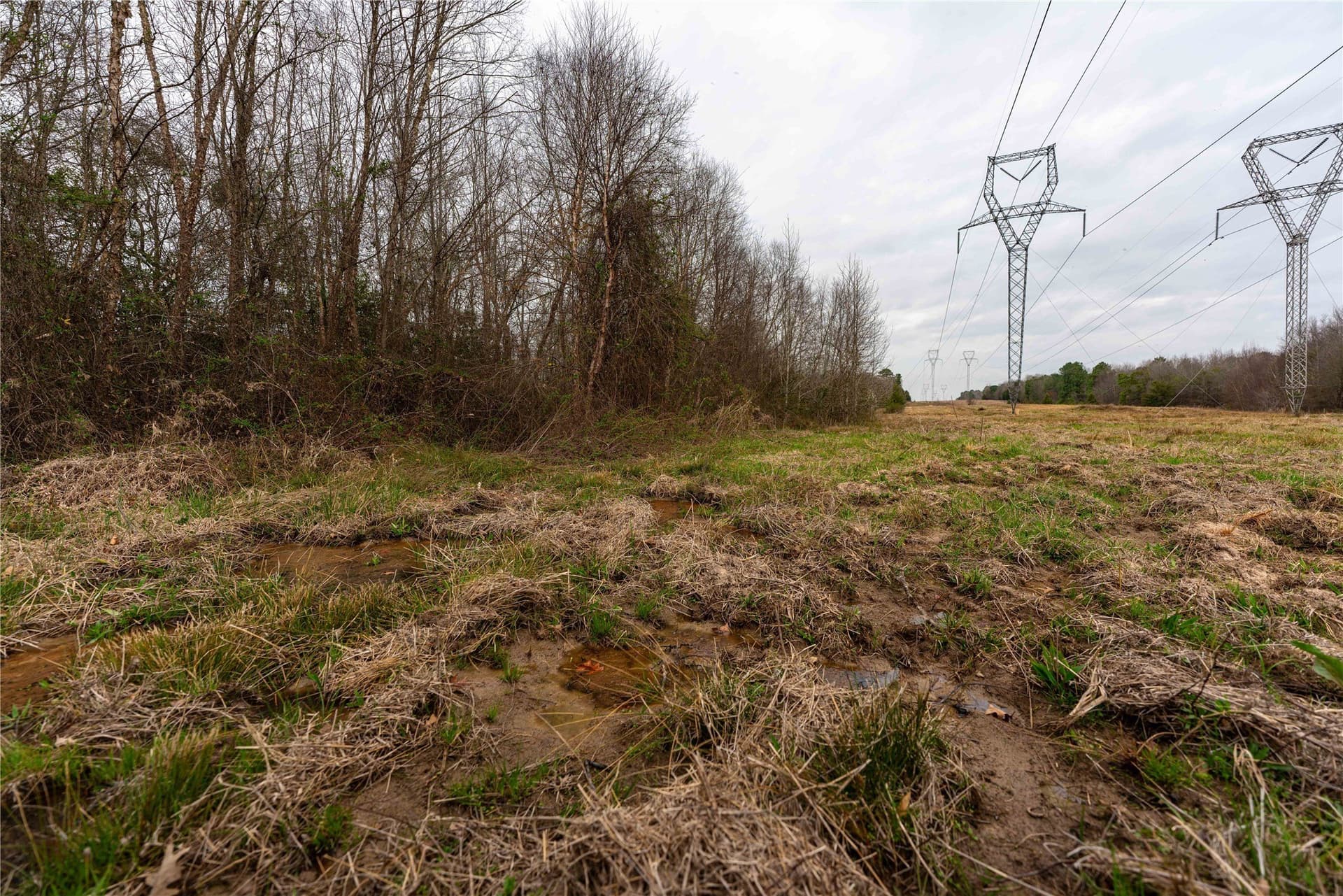 124.91 acres in Titus County - photo 11