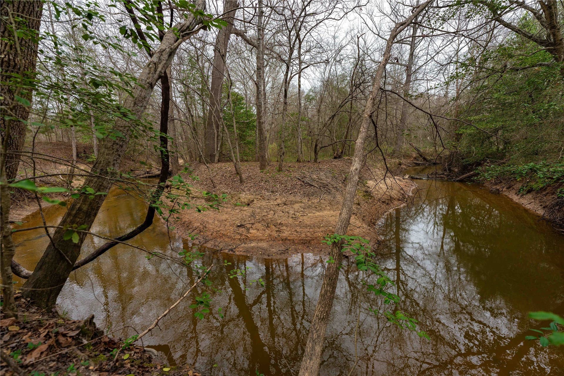 124.91 acres in Titus County gallery image 2