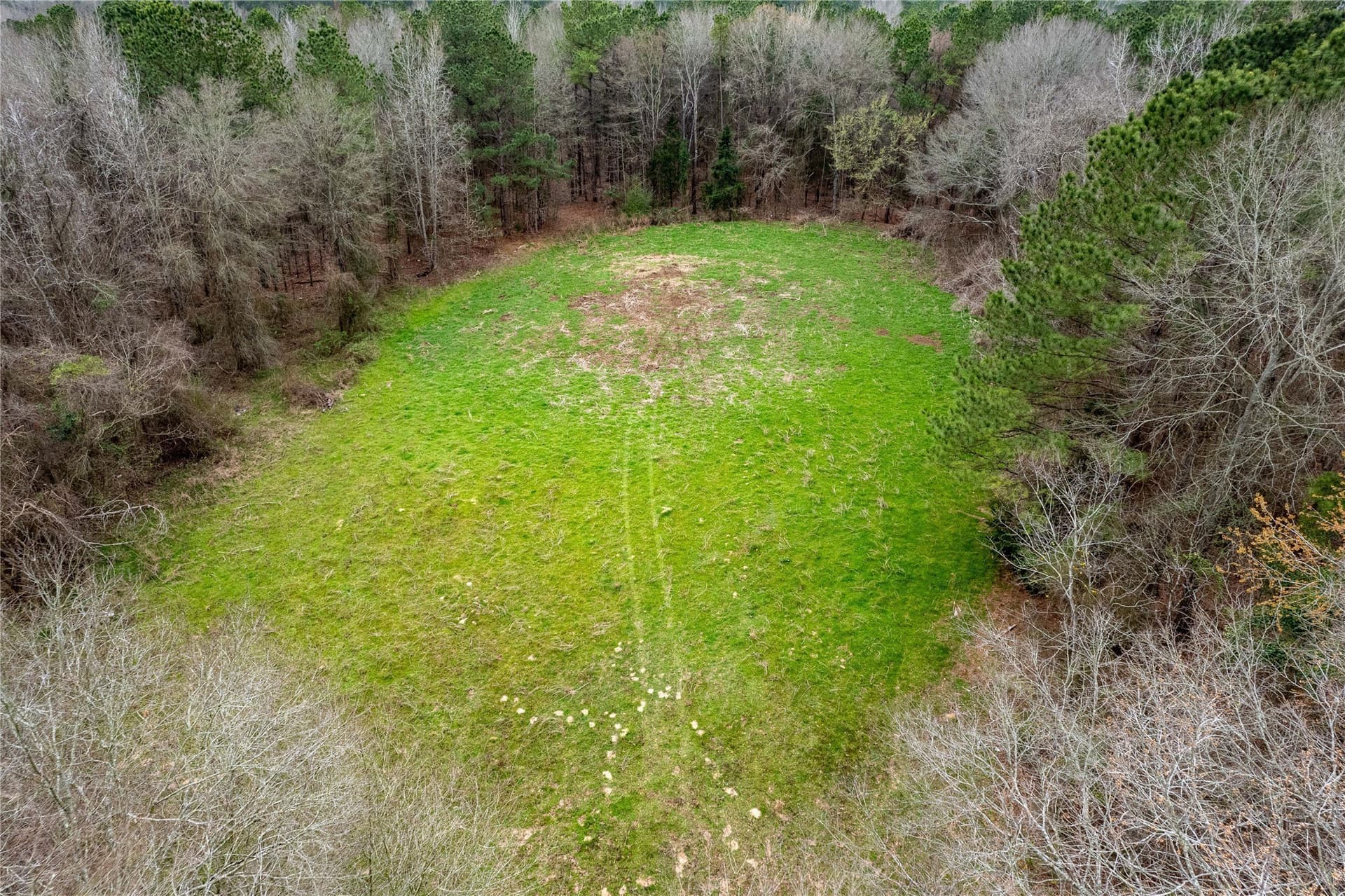 124.91 acres in Titus County - photo 6