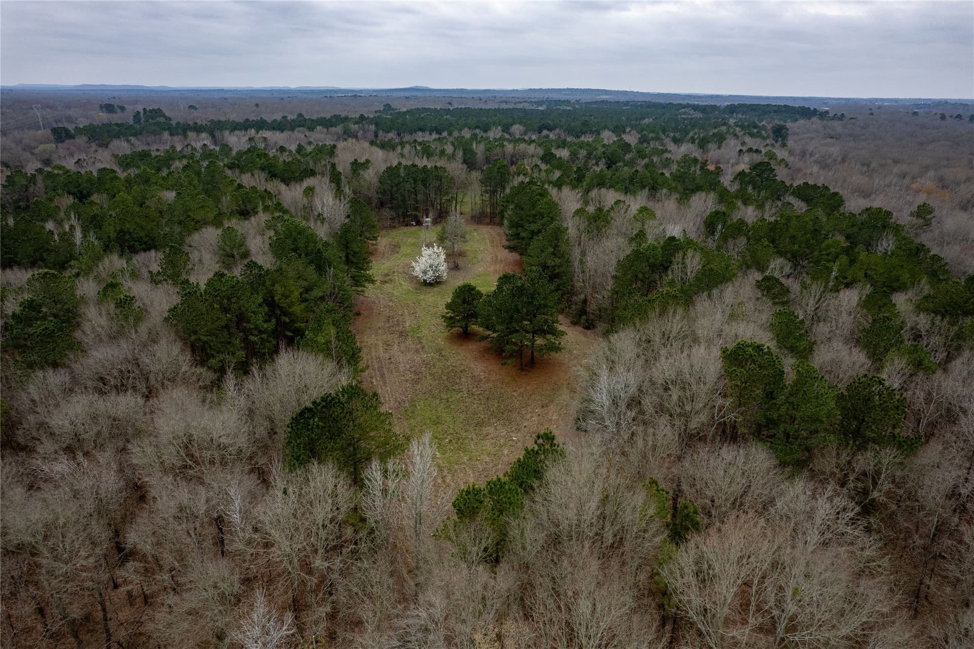 124.91 acres in Titus County - photo 21