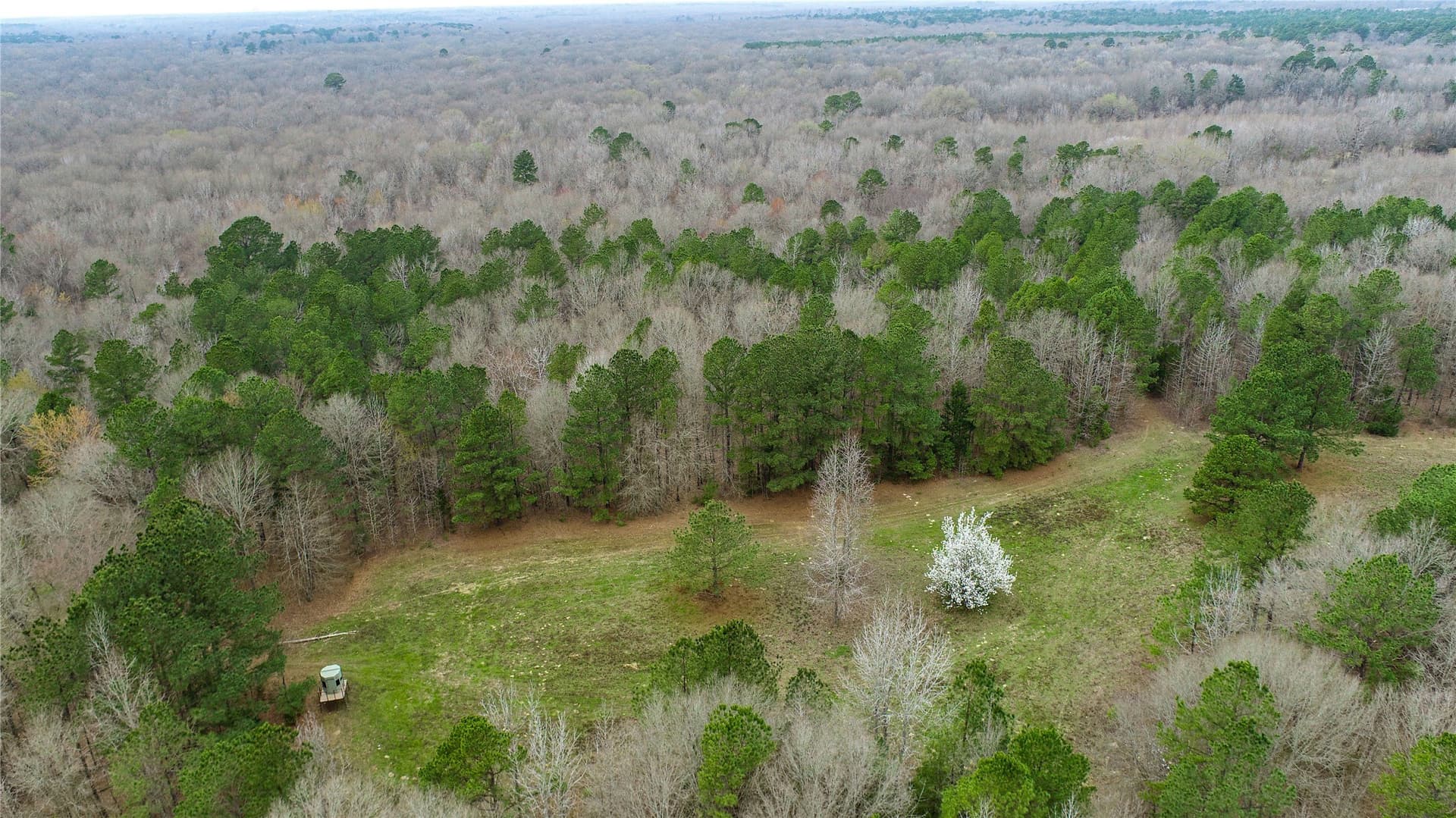 124.91 acres in Titus County - photo 10