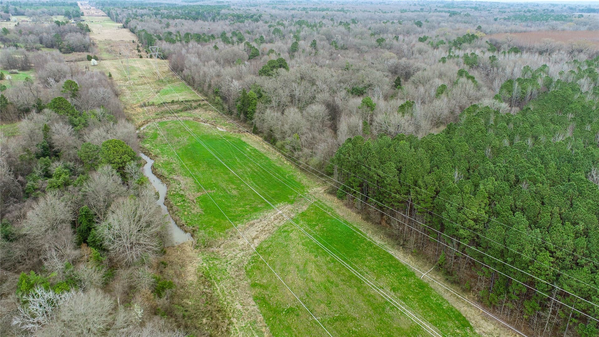 124.91 acres in Titus County featured view