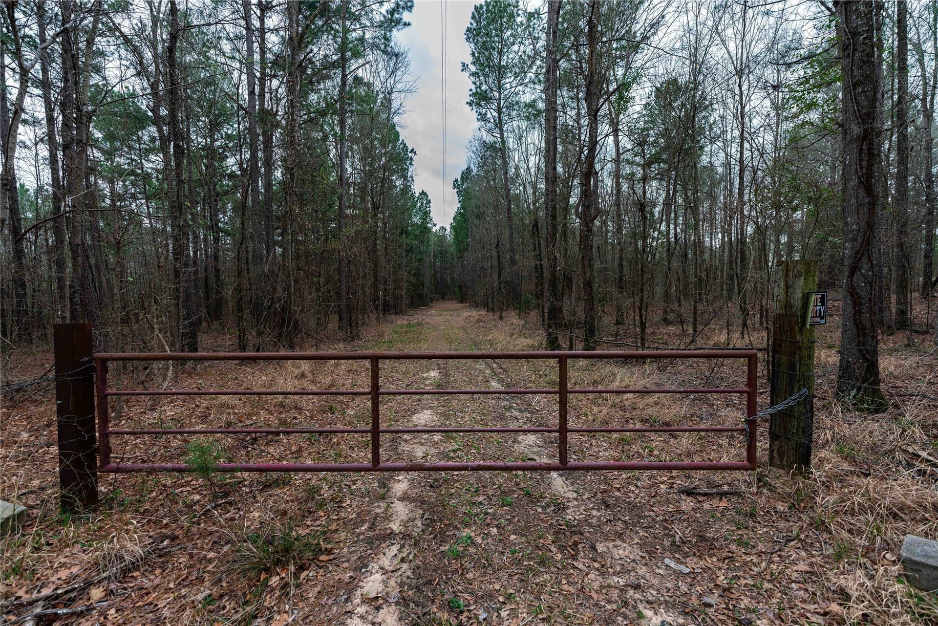 124.91 acres in Titus County - photo 26
