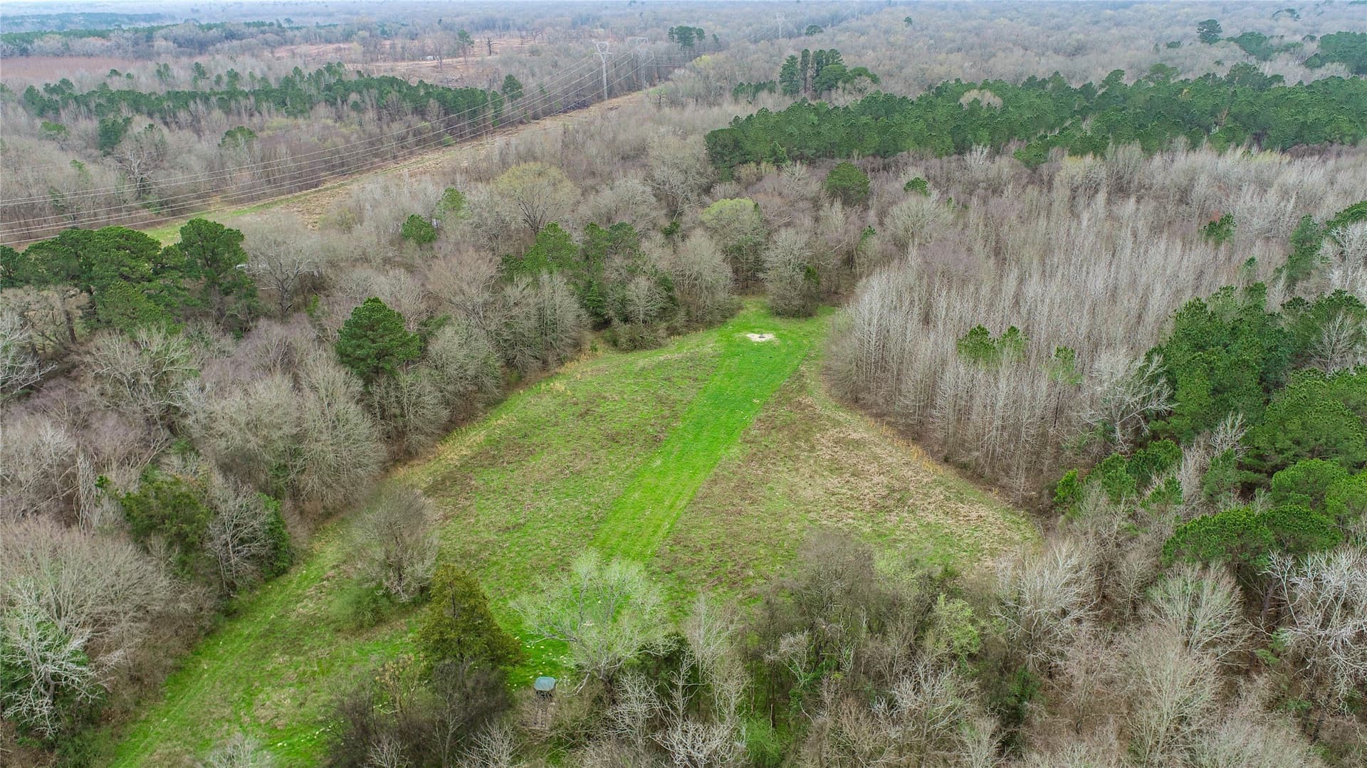 124.91 acres in Titus County - photo 7