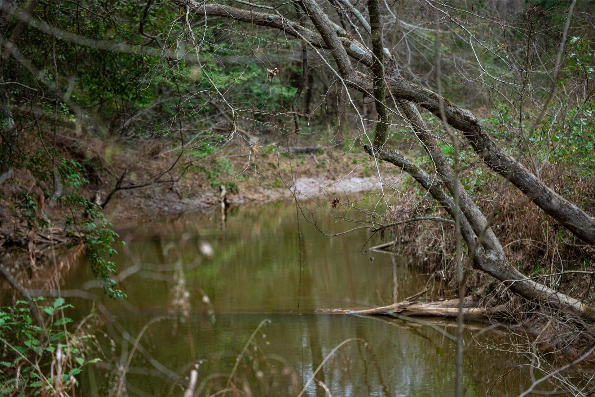 124.91 acres in Titus County - photo 18