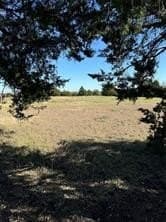 10.29 acres in Grayson County