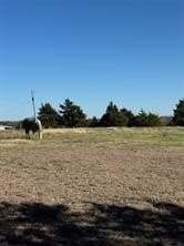 10.29 acres in Grayson County gallery image 3