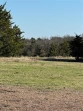 10.29 acres in Grayson County - photo 7