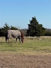 10.29 acres in Grayson County gallery image 2
