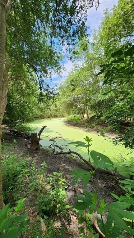 22.01 acres in Medina County gallery image 3