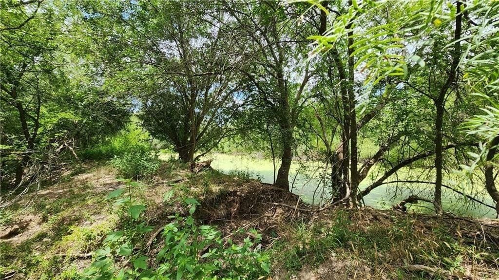 22.01 acres in Medina County gallery image 4