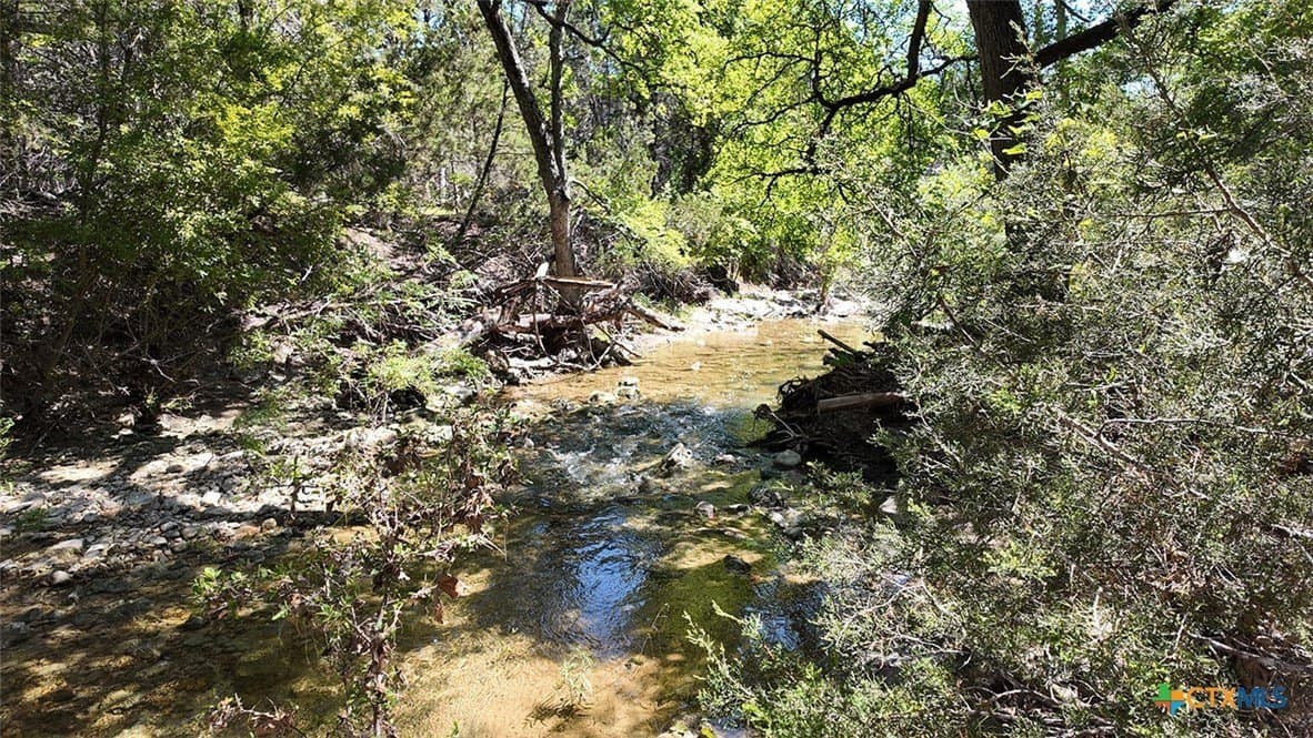 13.03 acres in Bell County gallery image 2