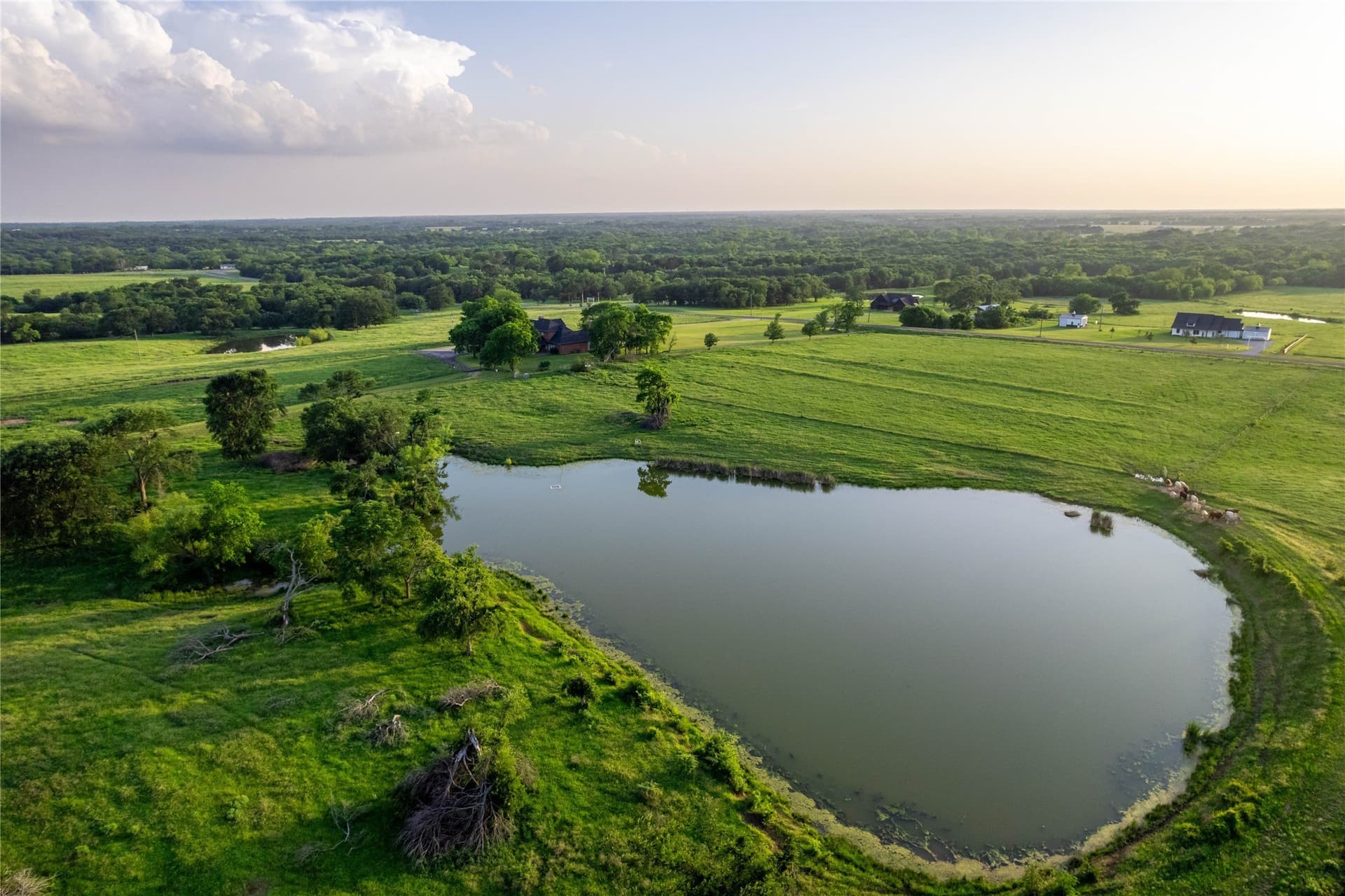 56.27 acres in Fannin County - photo 2