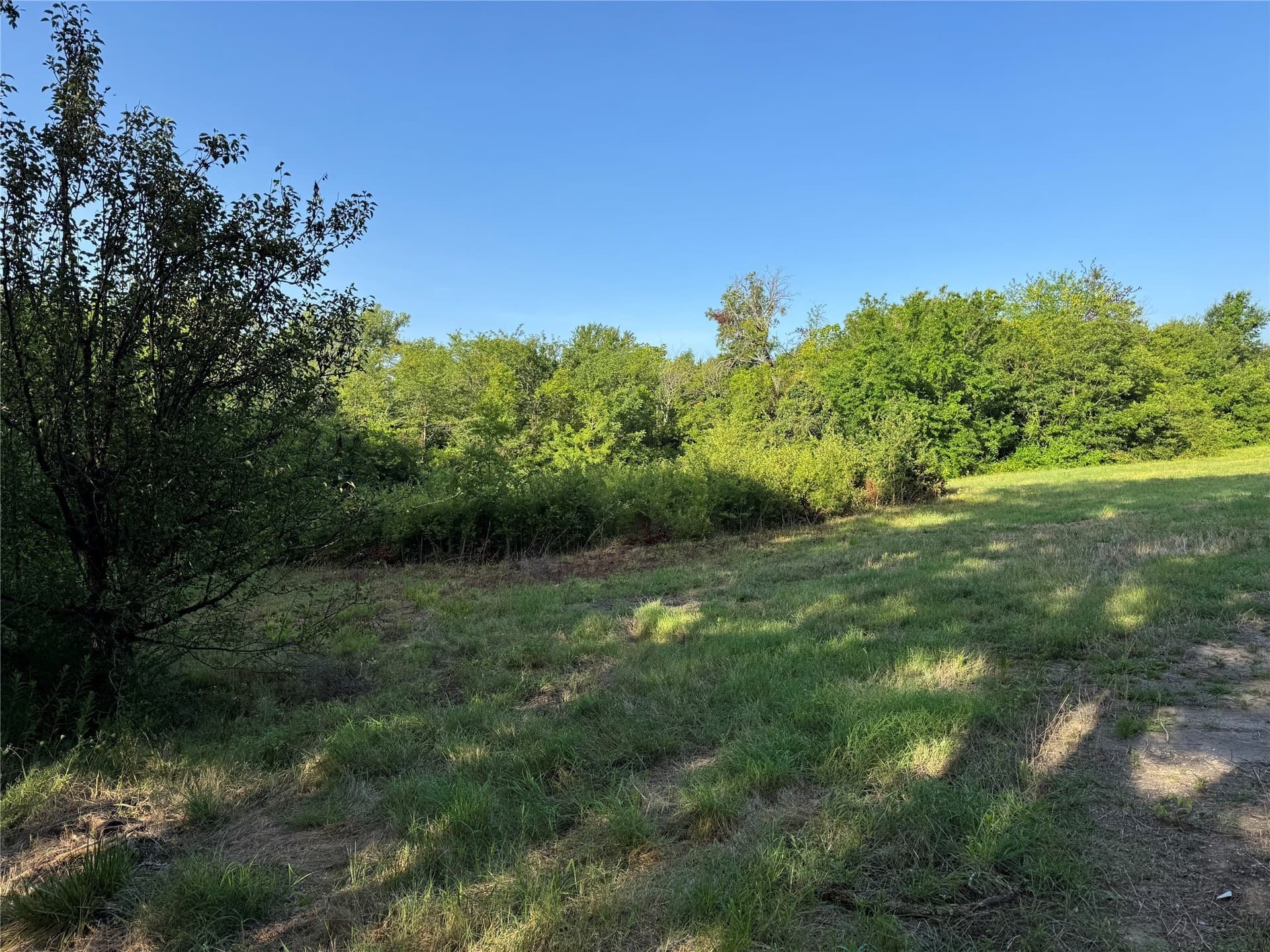3 acres in Fannin County - photo 6