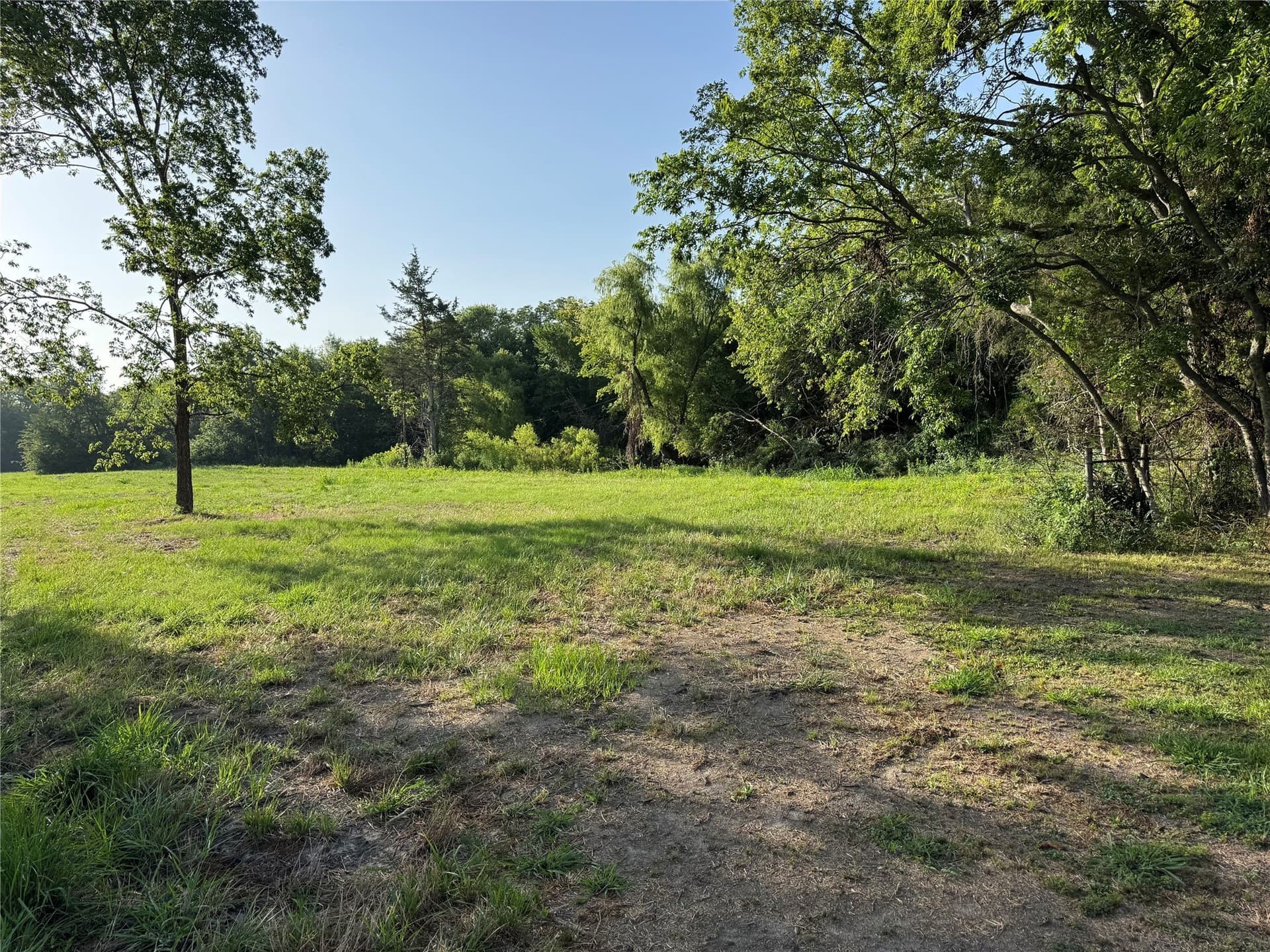 3 acres in Fannin County gallery image 3