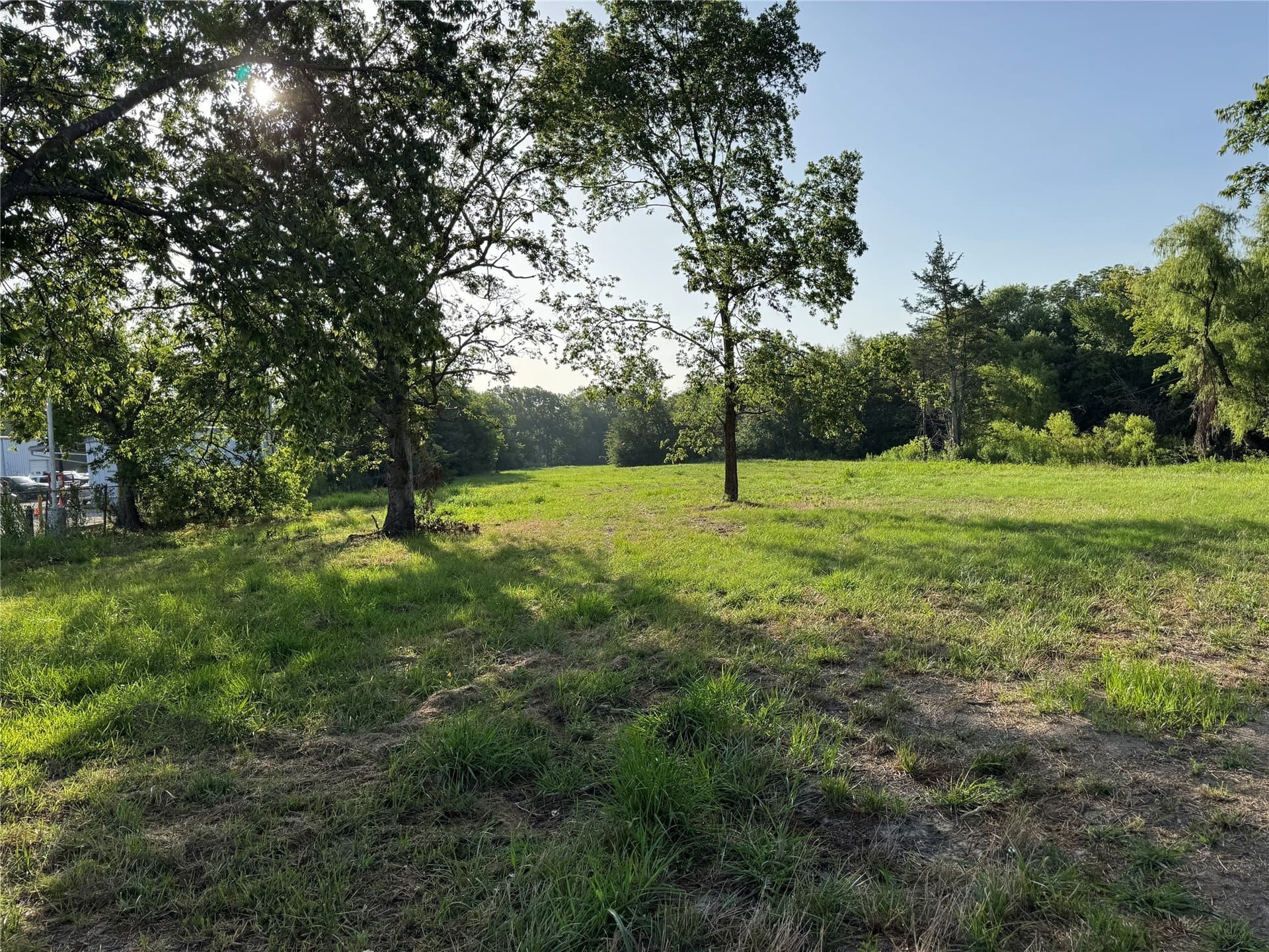 3 acres in Fannin County gallery image 4