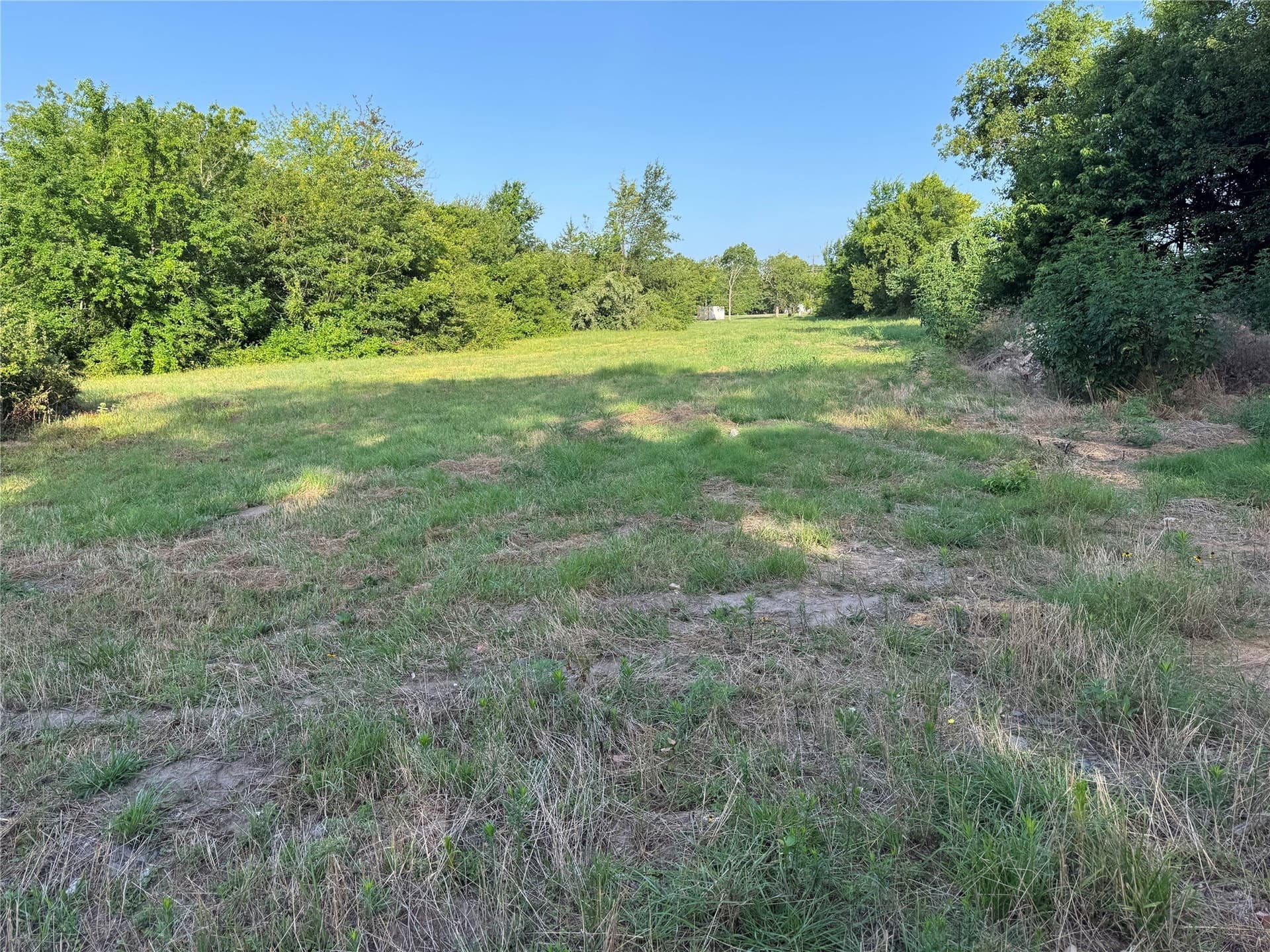 3 acres in Fannin County - photo 7