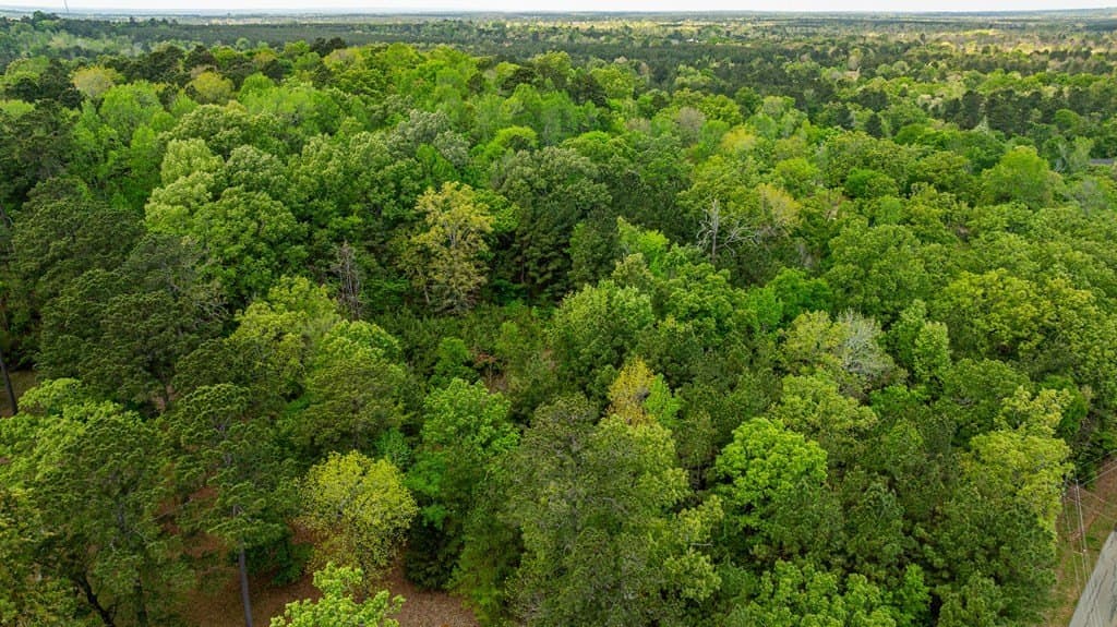 5 acres in Texas County featured view