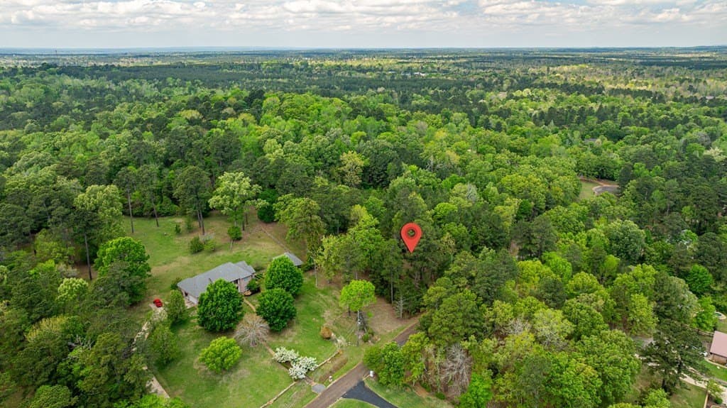 5 acres in Texas County gallery image 4