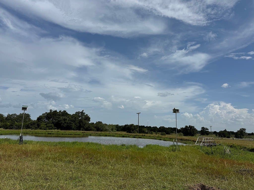 10.68 acres in Fayette County gallery image 4