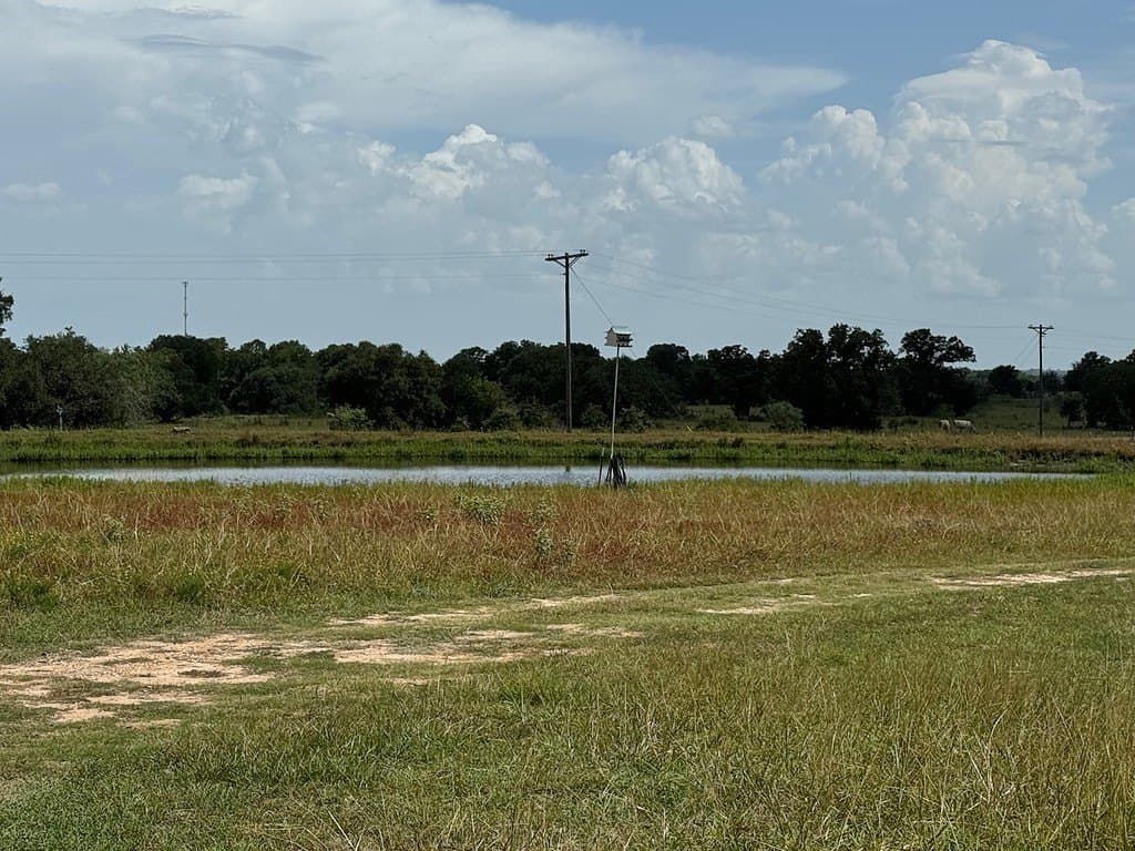 10.68 acres in Fayette County - photo 8