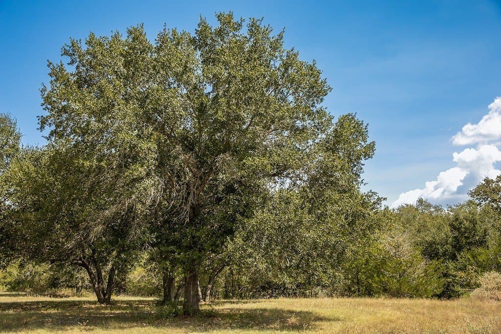 3.27 acres in Lee County - photo 24
