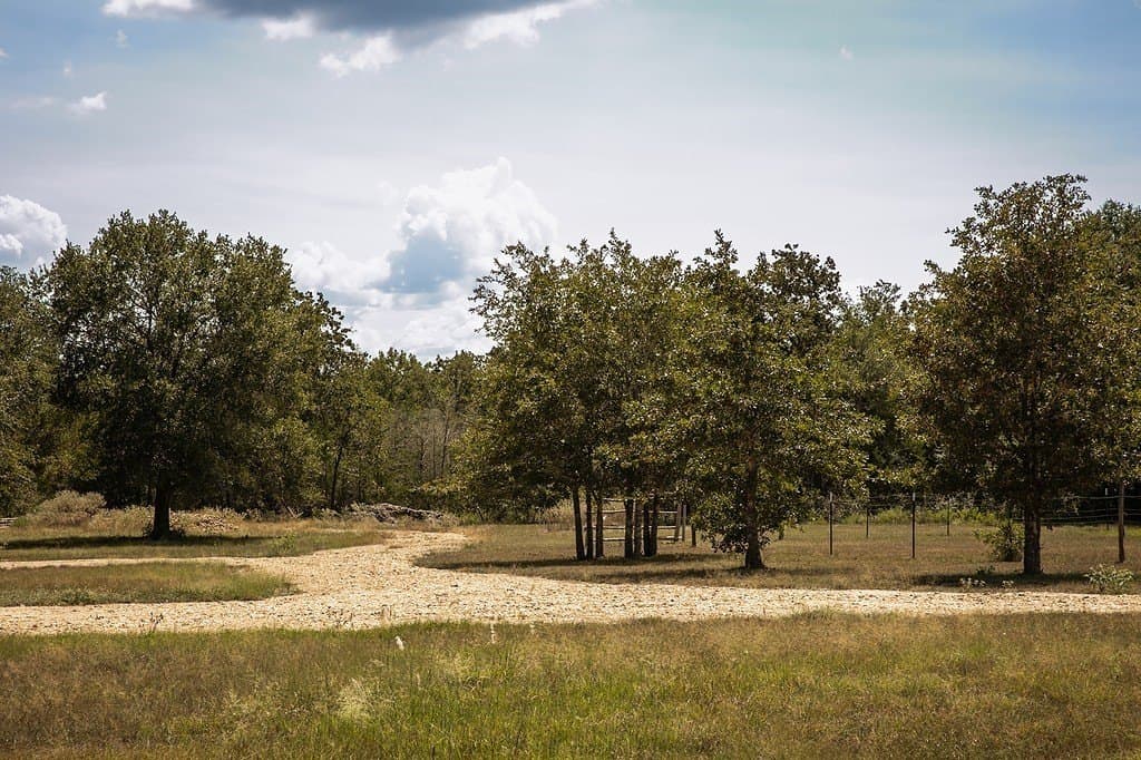 3.27 acres in Lee County - photo 3