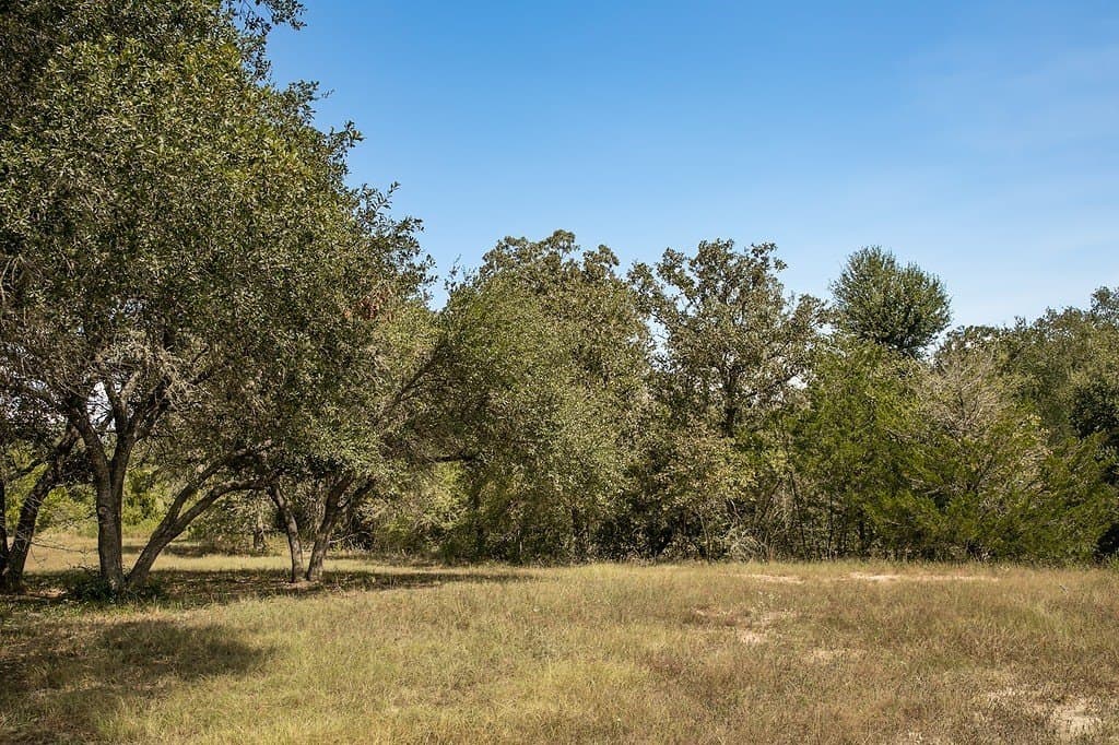 3.27 acres in Lee County - photo 23