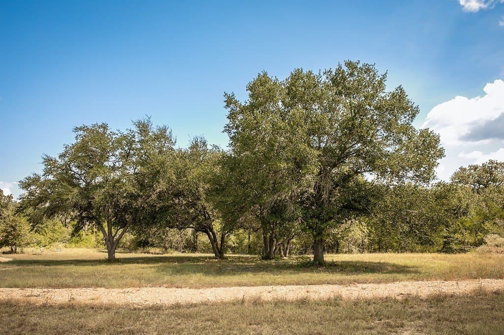 3.27 acres in Lee County - photo 5